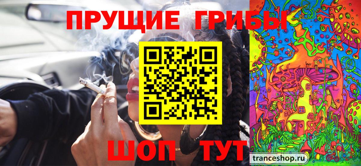 Псилоцибиновые грибы Cubensis Кинешма