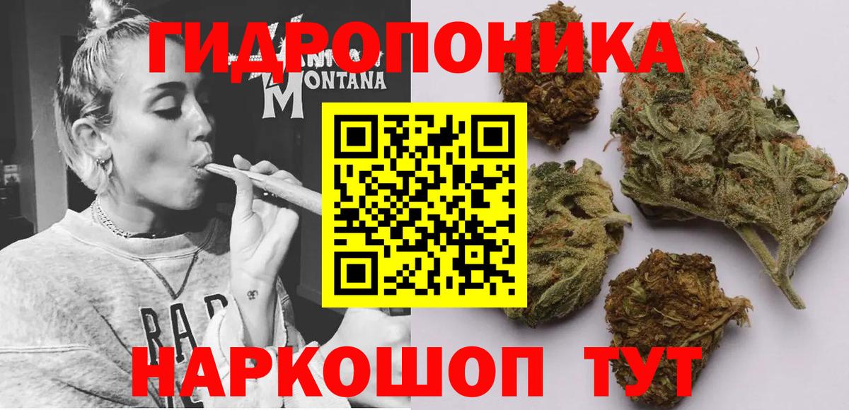 Каннабис сатива Кинешма